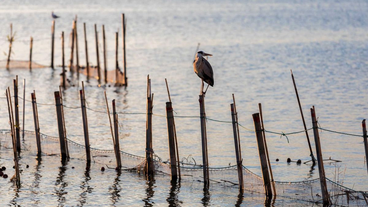 Parque Natural de la Albufera