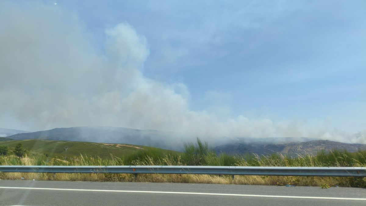 Incendios en Zamora