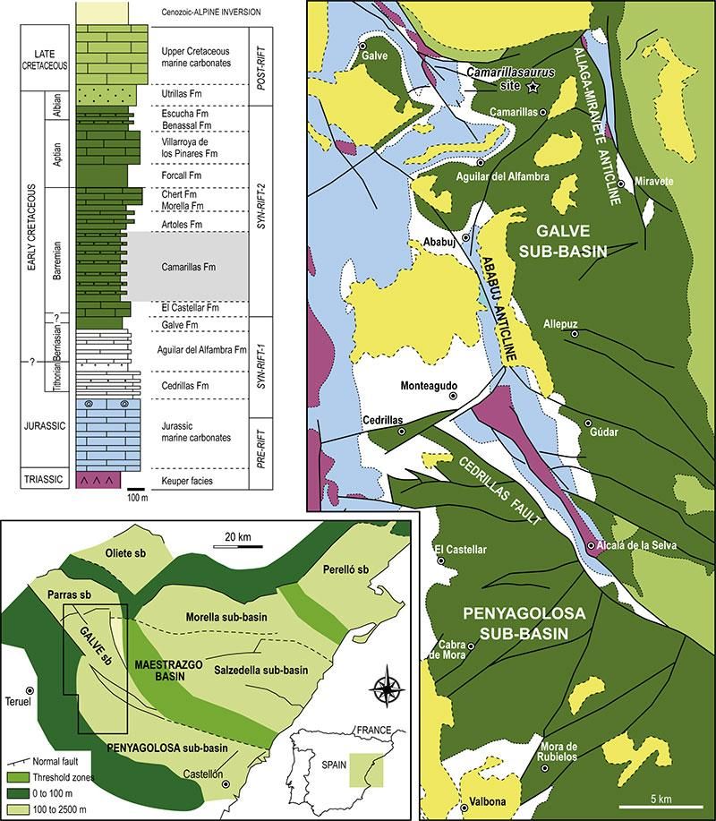 Entorno geográfico y geológico y estratigrafía general de la subcuenca de Galve en el área de Camarillas (basado en Aurell et al., 2016; Liesa et al., 2023), incluyendo la localización del yacimiento de Fuente Arnar, localidad tipo de Camarillasaurus cirugedae .
