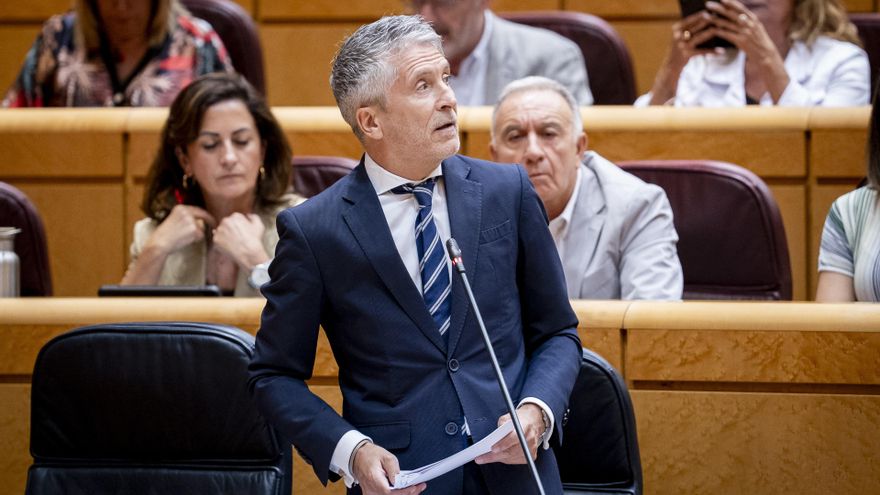 El ministro del Interior, Fernando Grande-Marlaska, interviene durante una sesión de control al Gobierno en el Senado