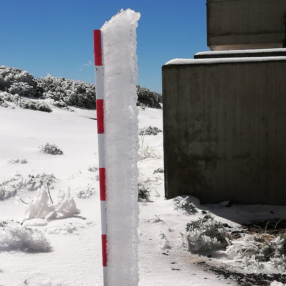 Paisaje congelado este sábado en las cumbres de La Palma. Foto: ANA BEA.