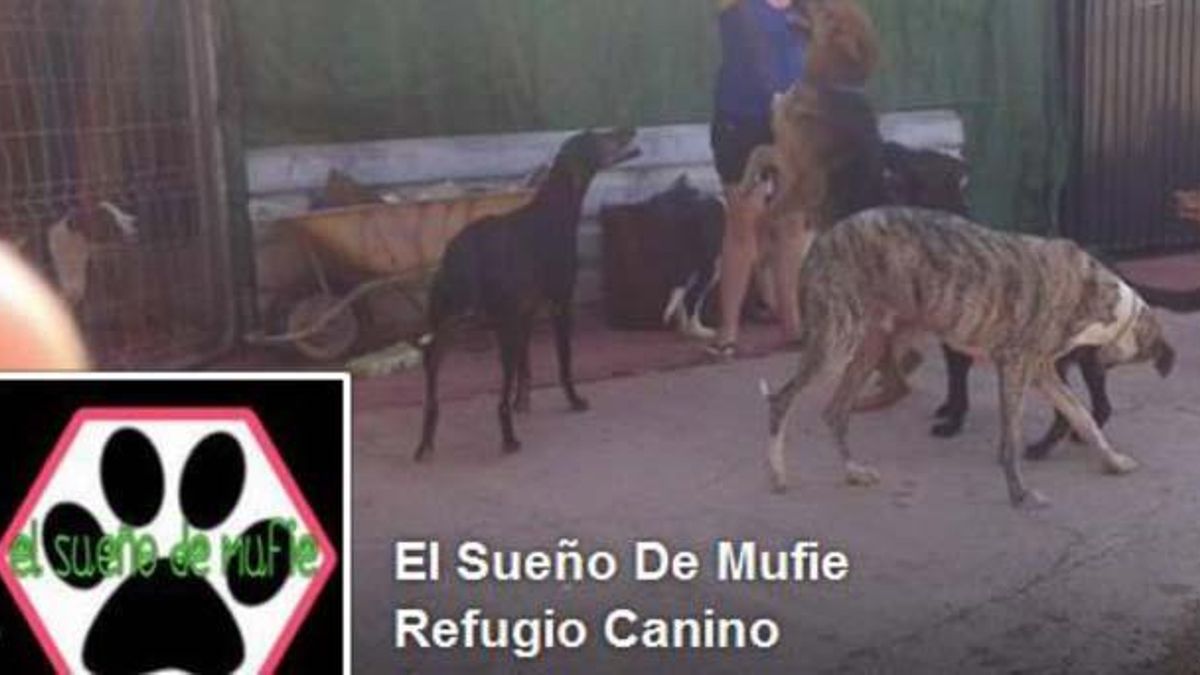 Refugio