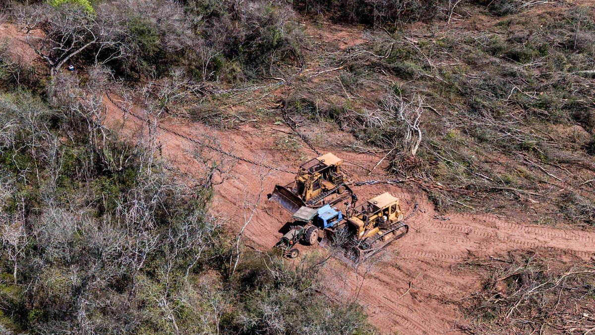 Un cambio en el ordenamiento de tierras nativas permitió el avance sobre territorios ancestrales.