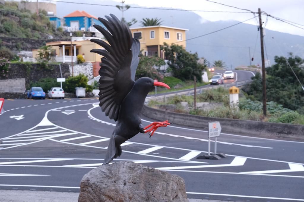 Ejemplar de graja del conjunto escultórico.