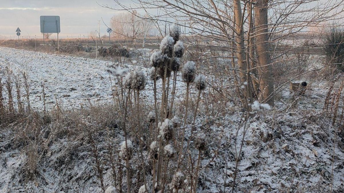 Nieve en el Páramo.