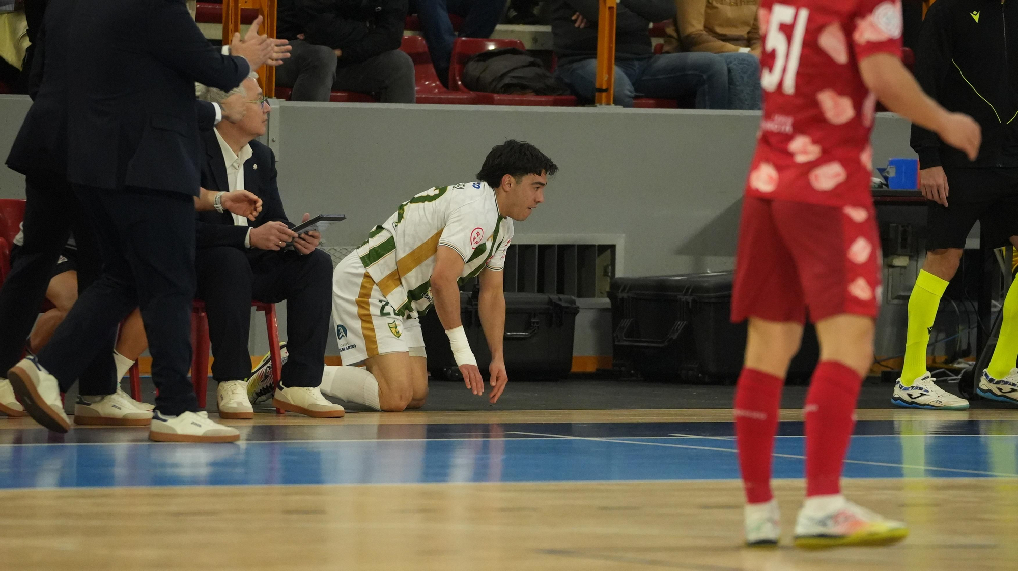 Las imágenes del Córdoba Patrimonio - ElPozo Murcia