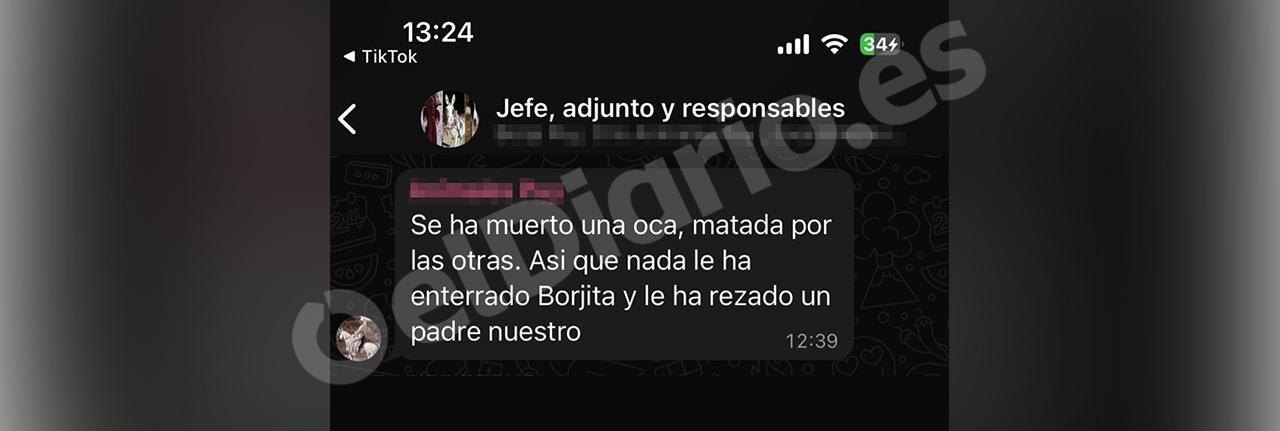 Captura de uno de los mensajes informando del enterramiento de una oca