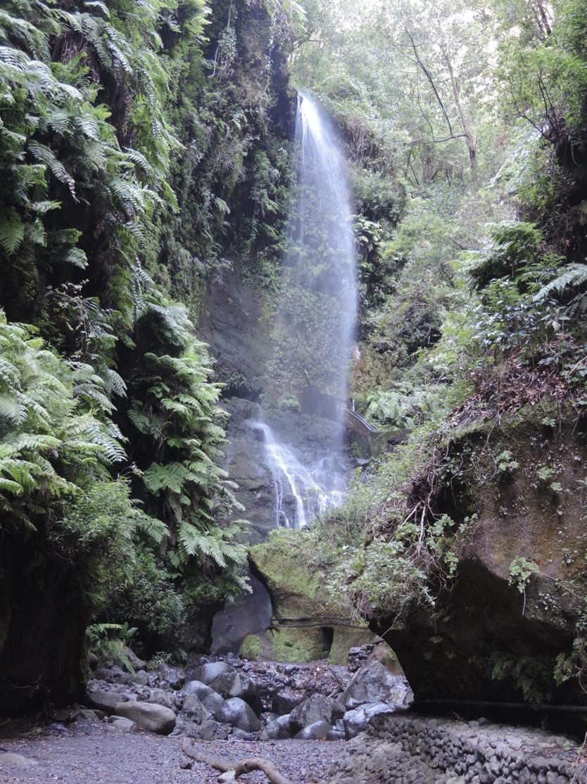 Cascada de Los Tilos (Barranco del Agua) (Foto: Jorge Pais Pais)