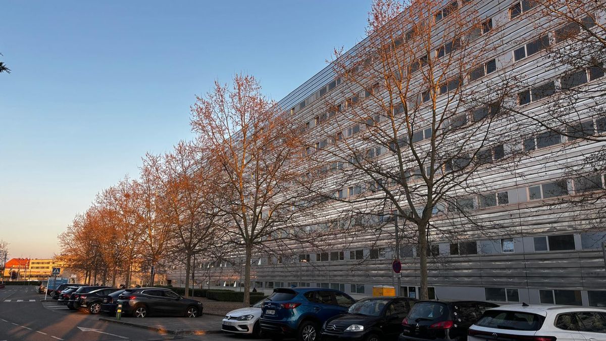 Telefonistas del SERIS podrán disfrutar de días libres generados por acumulación de periodos de descanso