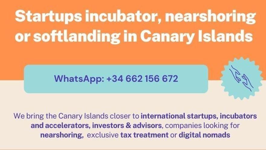 Marta Arocha, Director-General of Dependence and Disability of the Government of the Canary Islands: “We must be brave with the benefits catalogue that we want for the future”