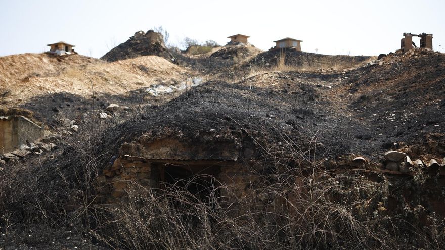 View after the passage of fire in Benavente's bucket, Zamora.