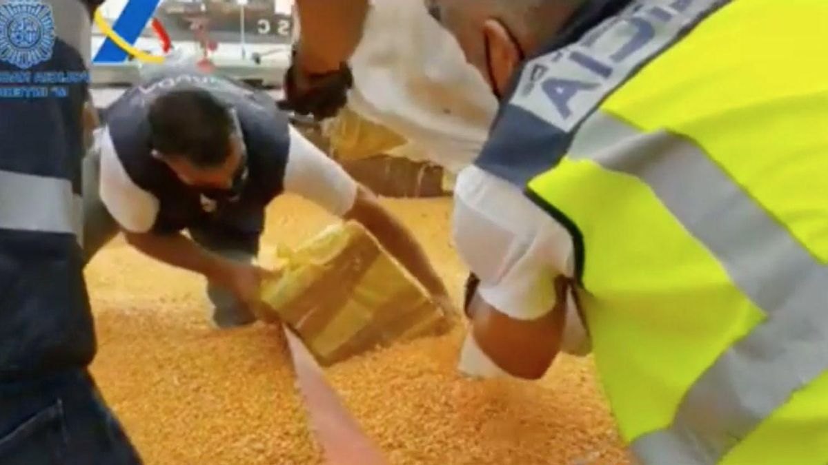 Fardos de coca encontrados entre el maíz en un barco procedente de Brasil