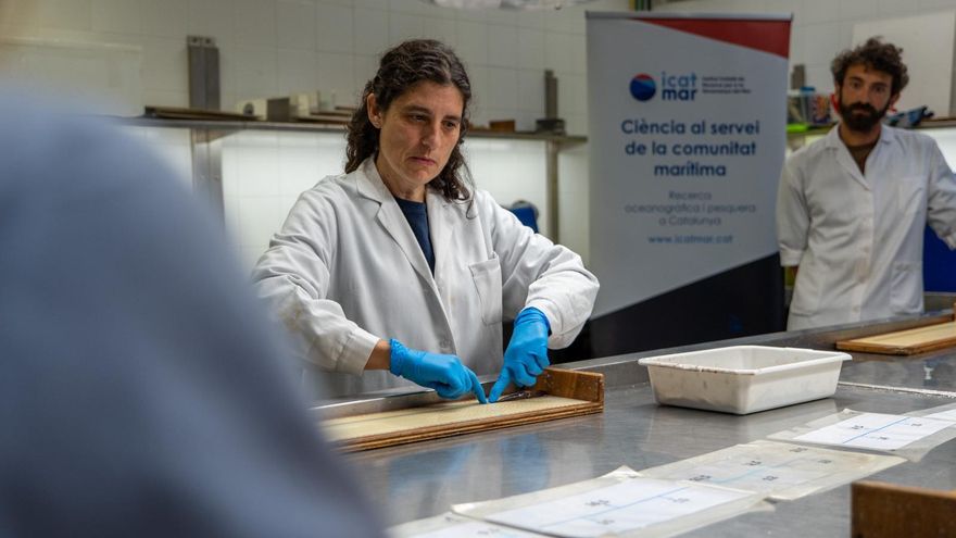 Eve Galimany, bióloga marina: "Se pueden recuperar los mares sin prohibir la pesca de arrastre"