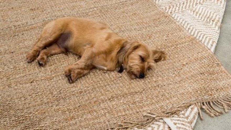 Cinco ideas ingeniosas para reutilizar una alfombra vieja