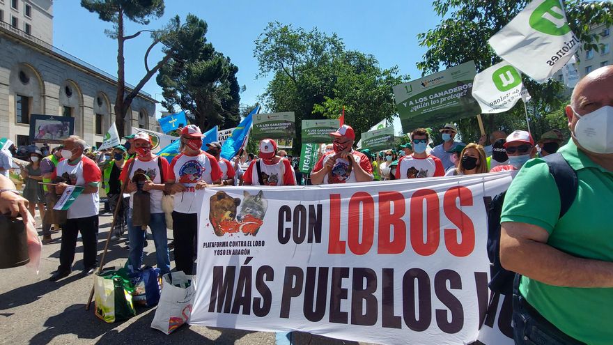 Los ganaderos de la sierra de Guadalajara piden en Madrid protección para los ganaderos antes que para el lobo