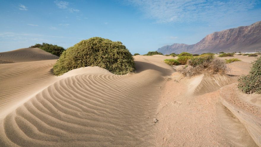 Ecologistas piden a Industria que deniegue un proyecto de extracción minera en Lanzarote
