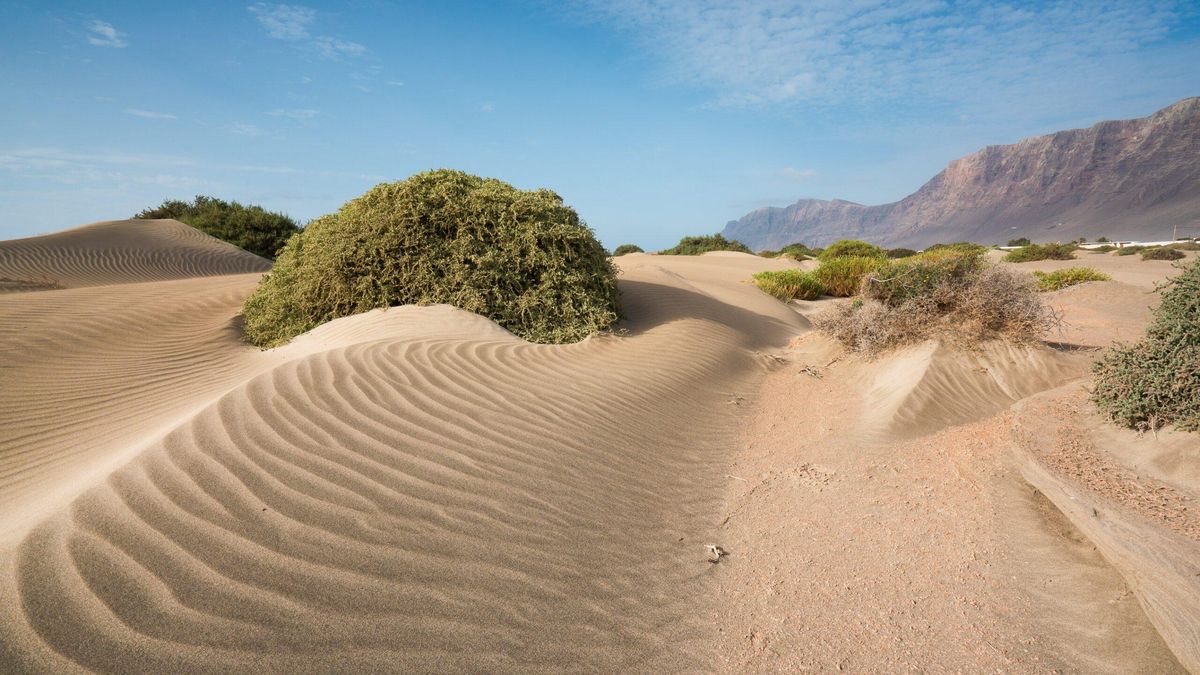 Vista de El Jable, con los acantilados de Famara al fondo, en Lanzarote.