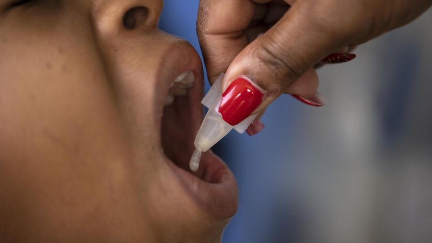 Descubren cómo se activa la toxicidad de la bacteria del cólera