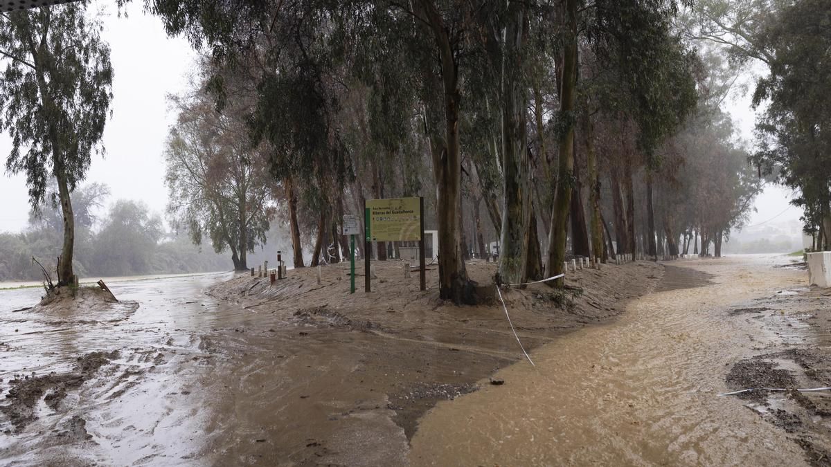 Imagen del río Guadalhorce a su paso por la Estación de Cártama, este miércoles