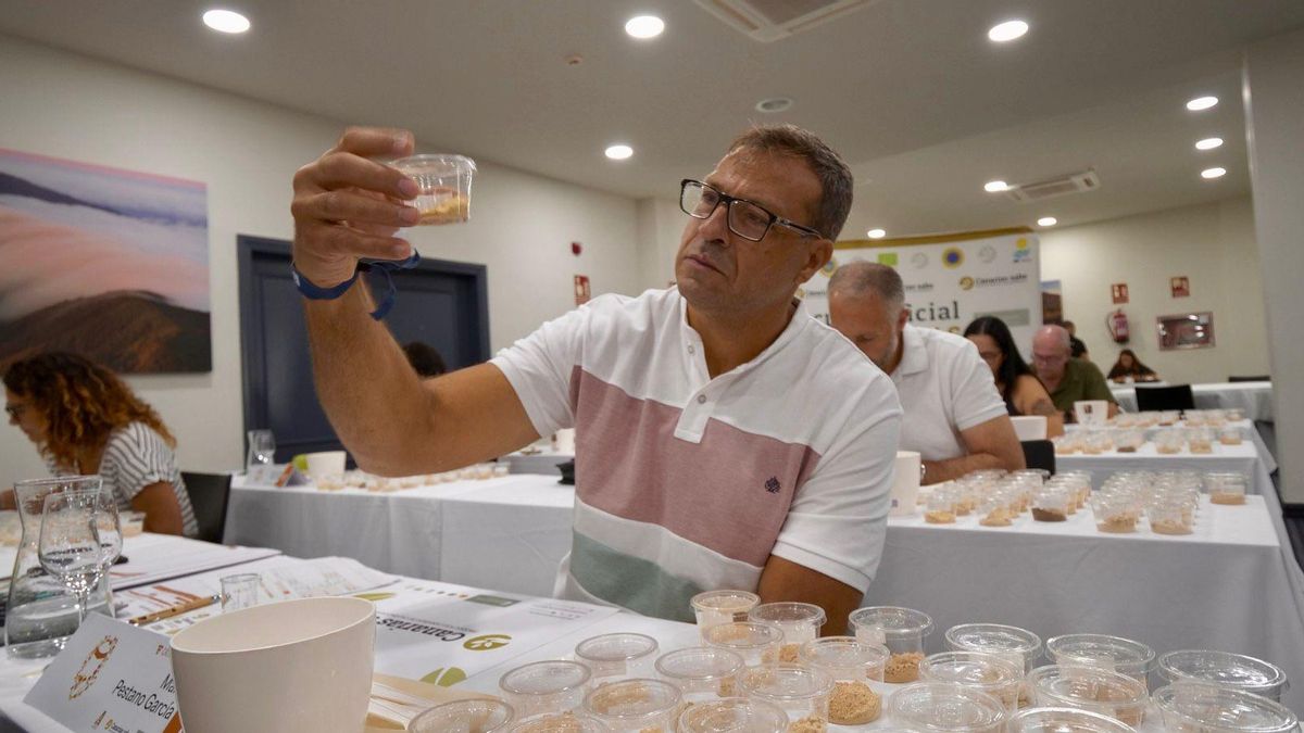 Concurso Oficial de Gofios Agrocanarias 2025 que tiene lugar en Los Cancajos (Breña Baja).