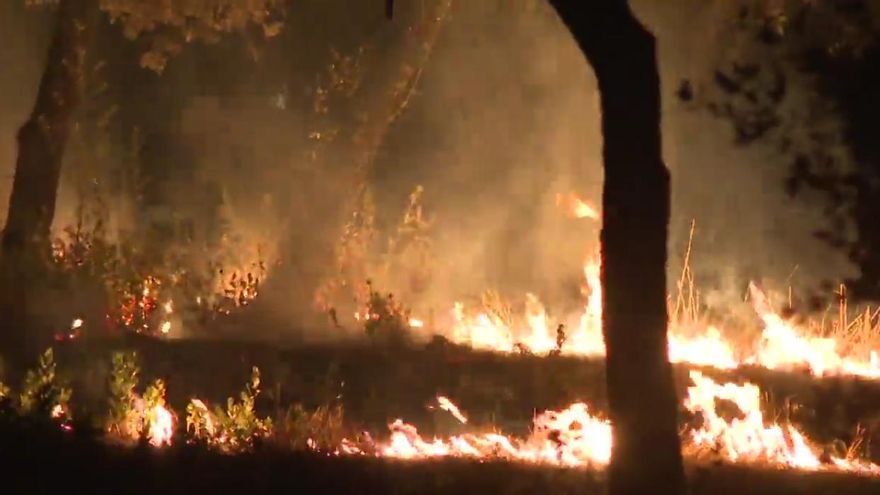 Un incendio en la Casa de Campo arrasa una zona de pasto cerca del Zoo de Madrid