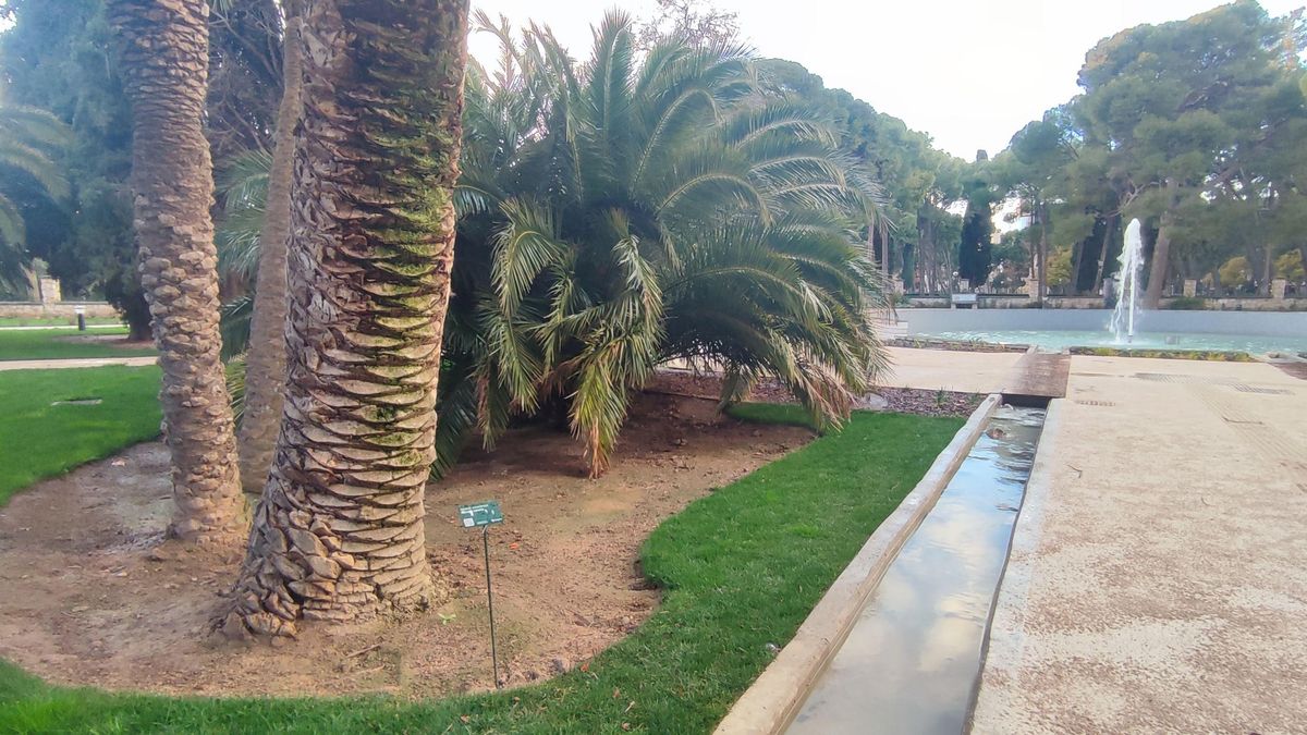 Especies que hay en el reformado jardín botánico de Zaragoza