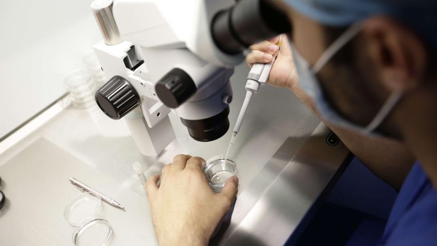 Todas las gallegas de entre 30 y 35 años podrán congelar óvulos en la sanidad pública en 2028