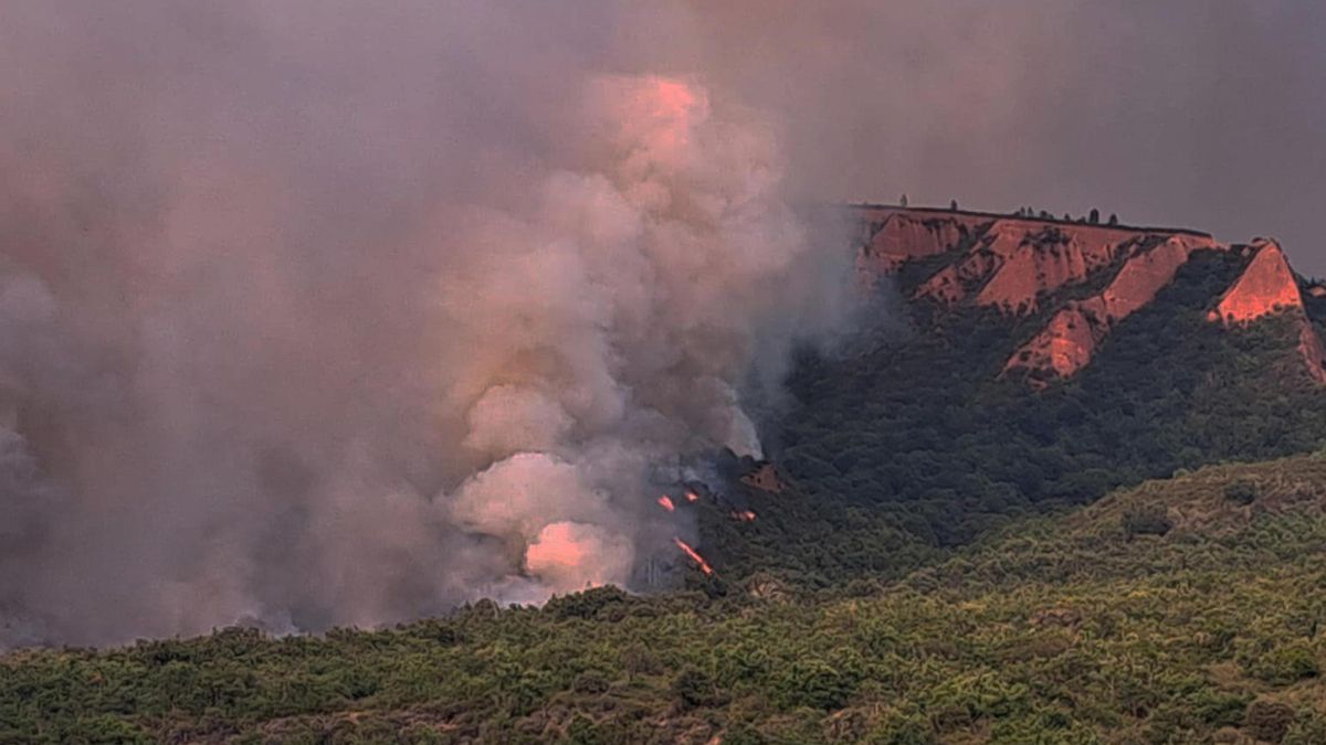 El incendio forestal declarado este miércoles en Veguellina, en el municipio de Villafranca del Bierzo.