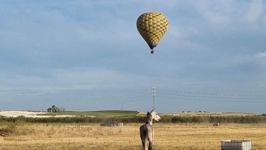 Vista del paseo en globo por el equipo de tierra durante su paseo entre Sevilla y Huelva.