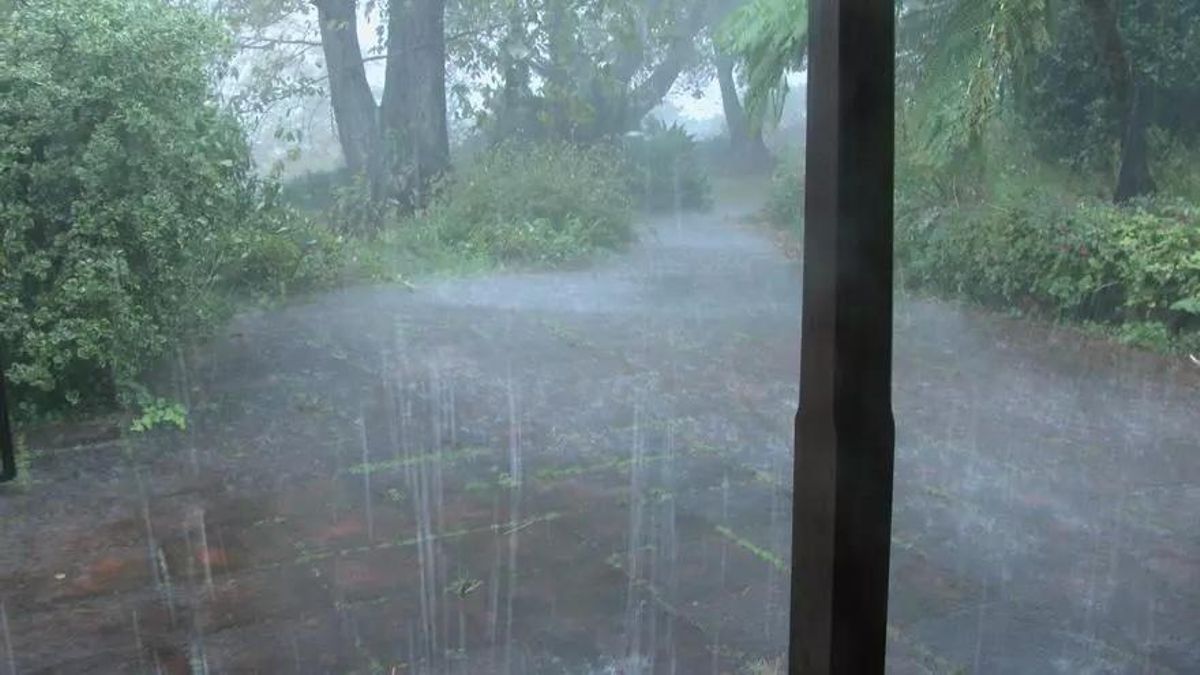 Imagen de archivo de un día de lluvia en La Palma.