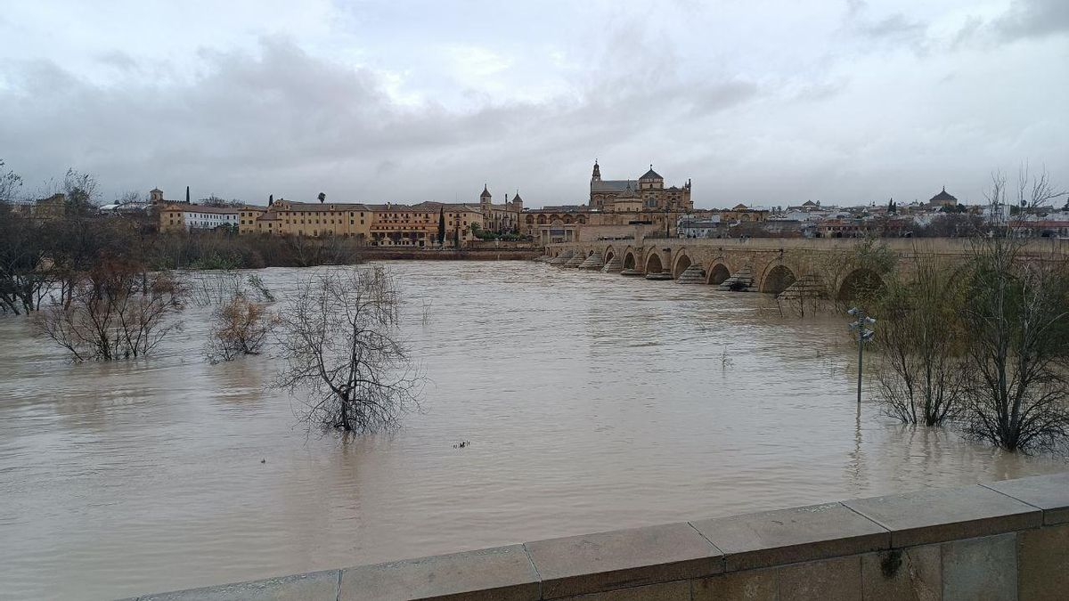 Imagen del Guadalquivir a su paso por Córdoba este viernes.