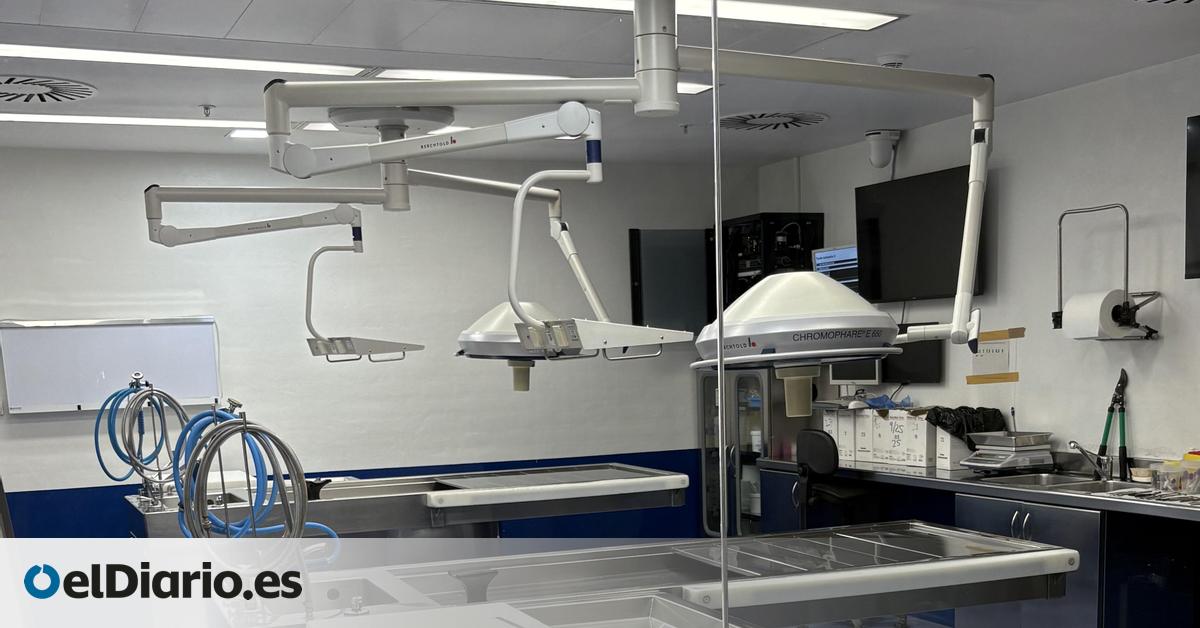 Dentro de un instituto forense, mucho más que una morgue:  Somos pioneros en actuar ante agresiones sexuales y trata 