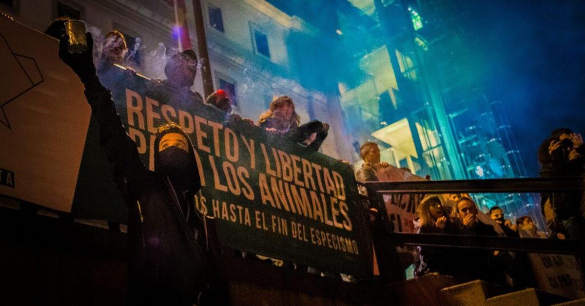 1N Antiespecista: Madrid volverá a gritar por los animales