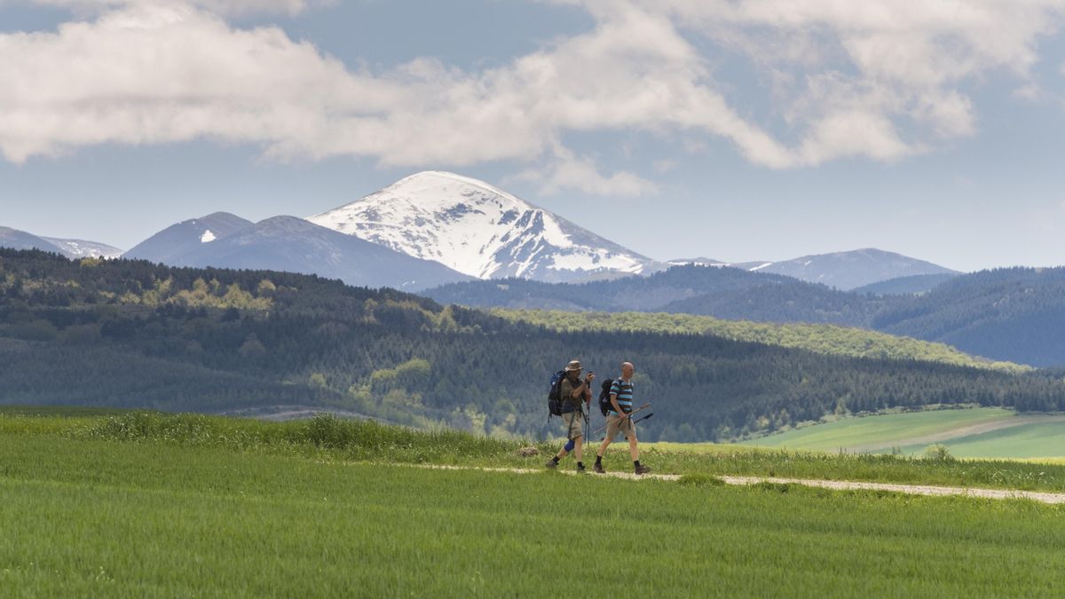 Tu Camino, tus flechas: ocho desvíos para descubrir La Rioja