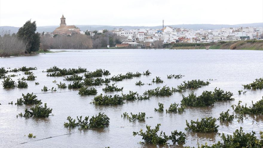 La borrasca Marta lleva el Guadalquivir al límite