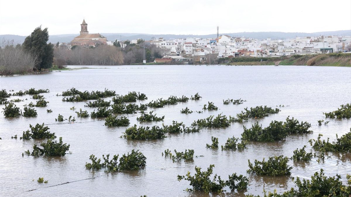 La borrasca Marta lleva al Guadalquivir al límite