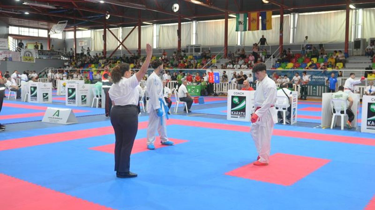 XVII Torneo Internacional de Selecciones de Kárate y Para-Kárate 'Ciudad de Palma del Río'