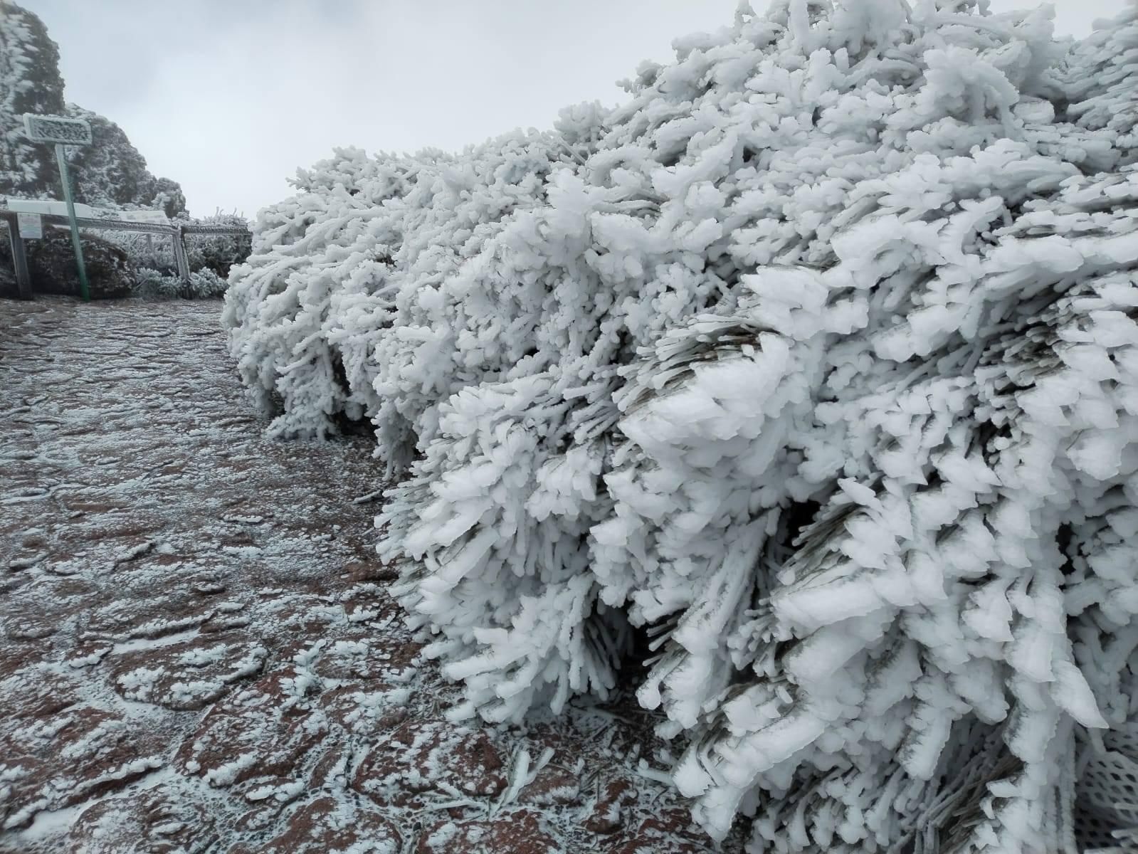 Paisaje invernal protagonizado por las cencelladas este martes en las cumbres de La Palma. Foto: Adelto Hernández