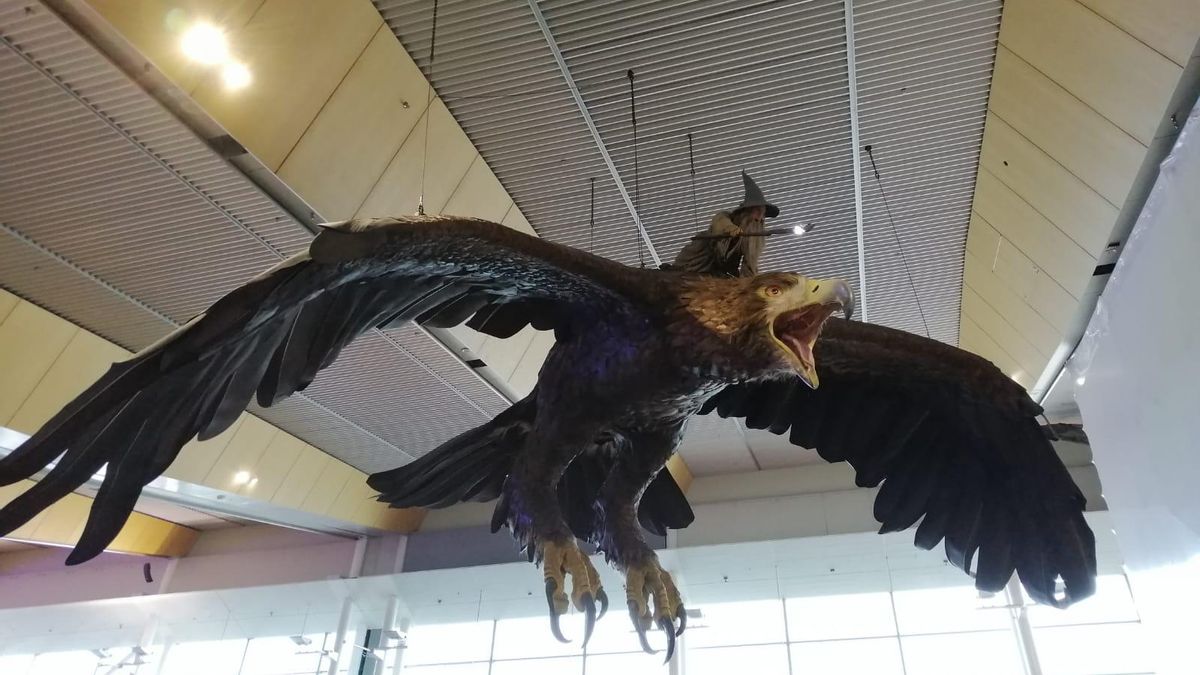 Tras más de diez años dominando el techo de la terminal, las enormes figuras de aves volaron de la sala principal