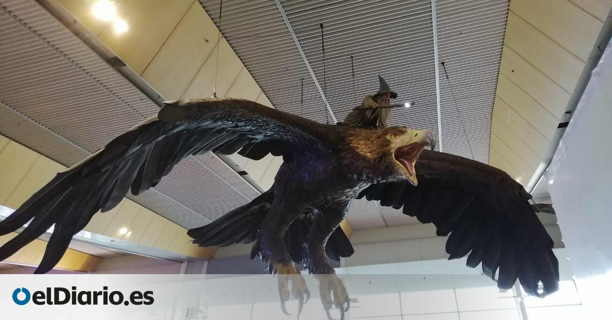 Esta es la drástica decisión que ha tomado el aeropuerto de Wellington que no gustará nada a los fans de 'El Señor de los Anillosp