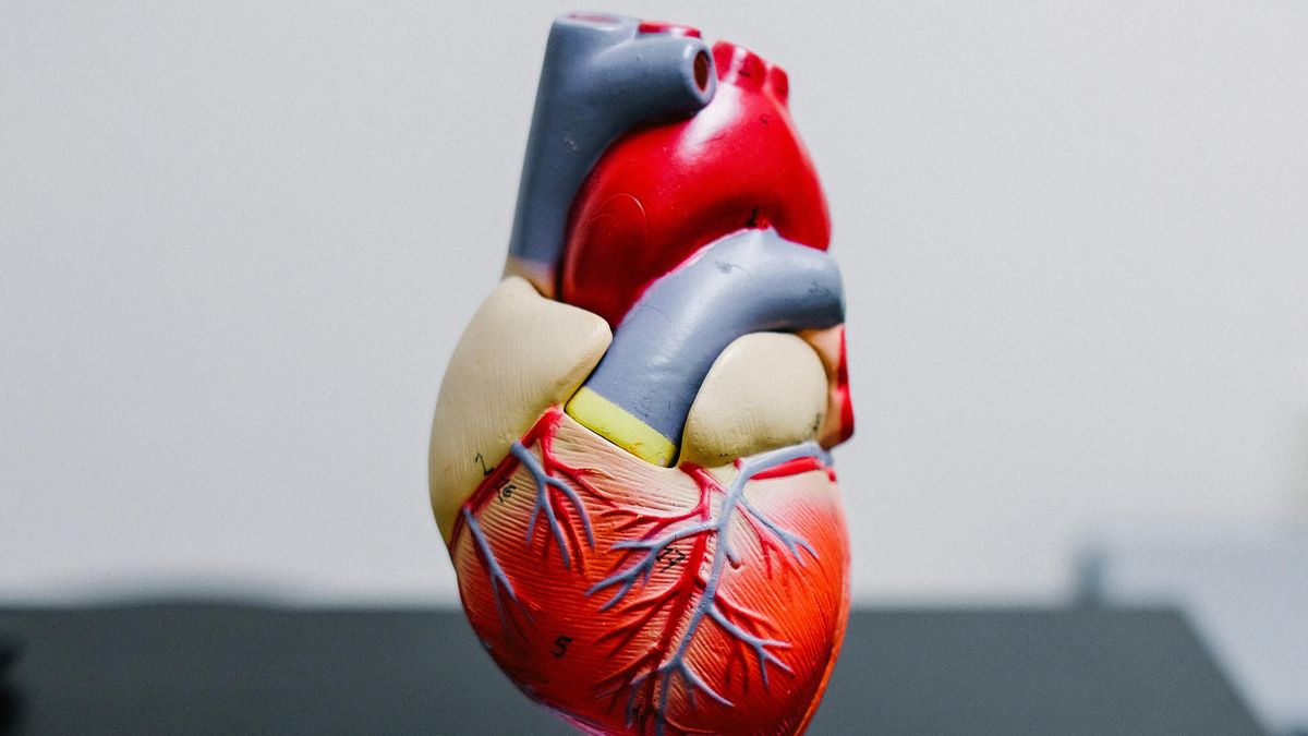 Día Mundial del Corazón.