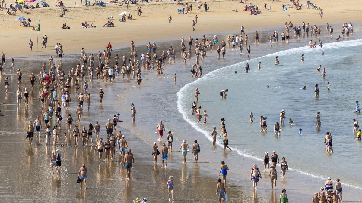 Denuncian el “absurdo regulatorio" de vetar el Playa Bus a San Sebastián por la denuncia de una concesión "caducada en 2014"