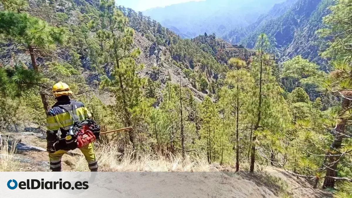 El Gobierno de Canarias declara la prealerta por incendios forestales en La Palma, La Gomera, El Hierro, Tenerife y Gran Canaria
