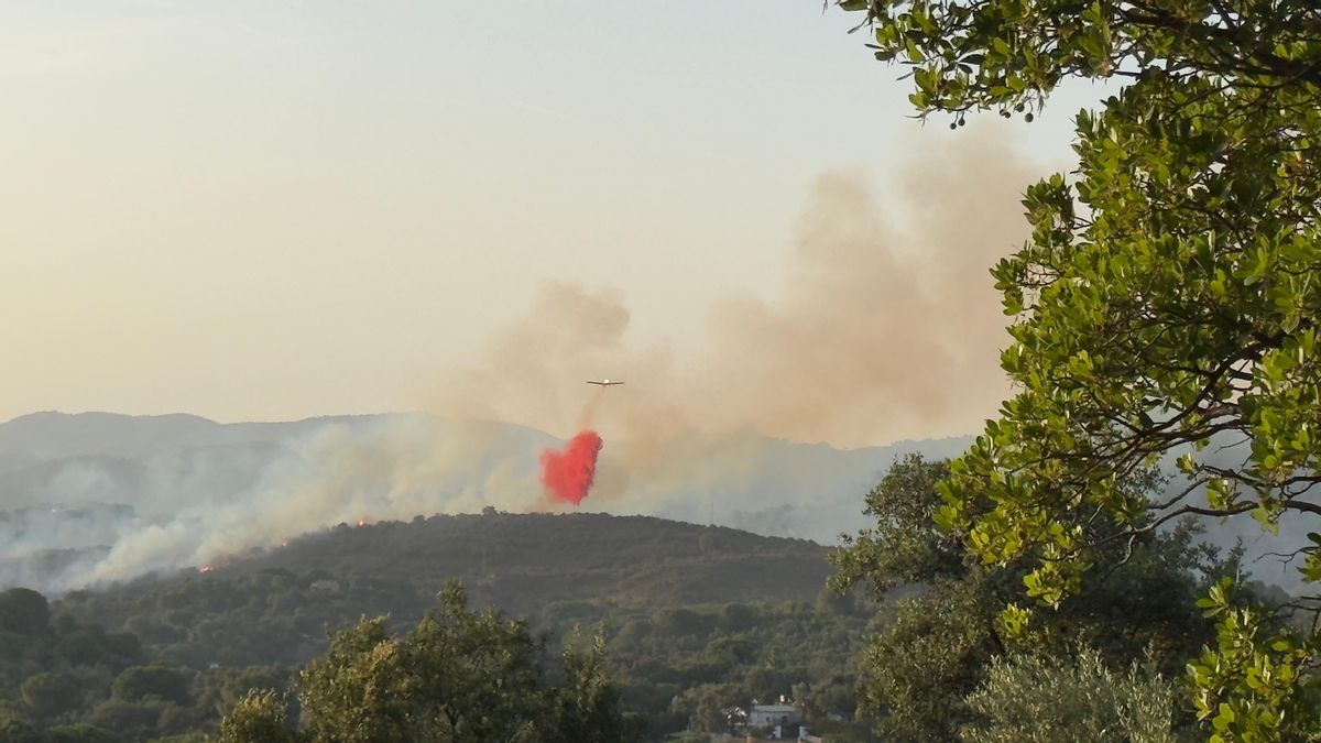 Una avioneta de carga en tierra del Infoca trabaja en la zona en la que se ha declarado el fuego.