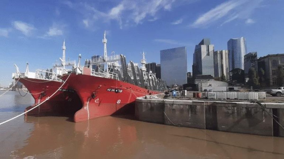 El buque Hu Shun Yu 08, perteneciente a Argamar, en el puerto de Buenos Aires.