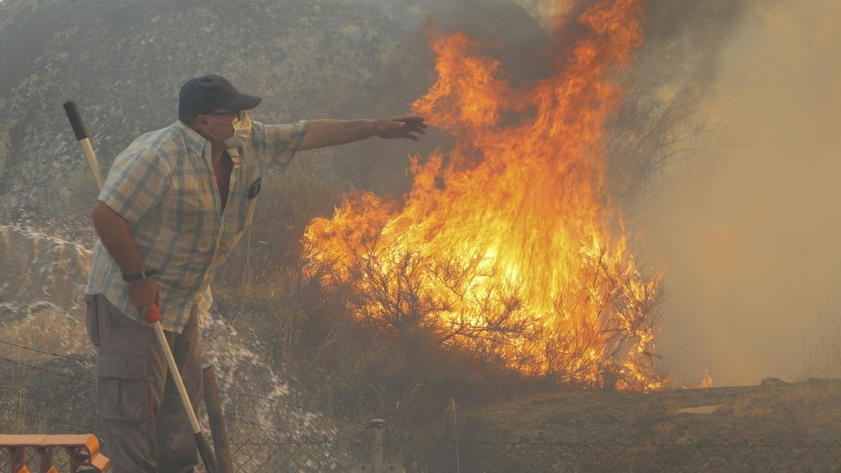 El fuego de Arribes del Duero de Zamora afecta ya a 10.000 hectáreas