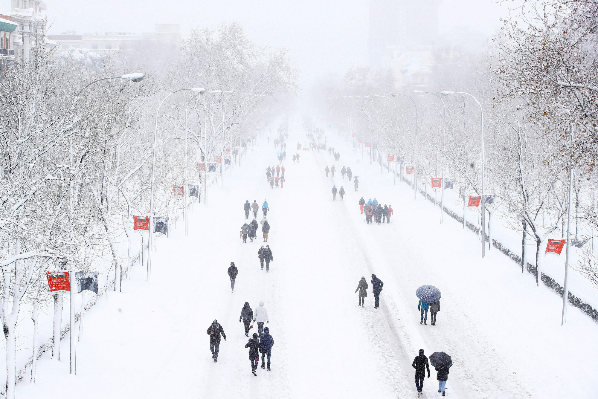 Una espesa capa de nieve cubre el Paseo de la Castellana en Madrid, este sábado
