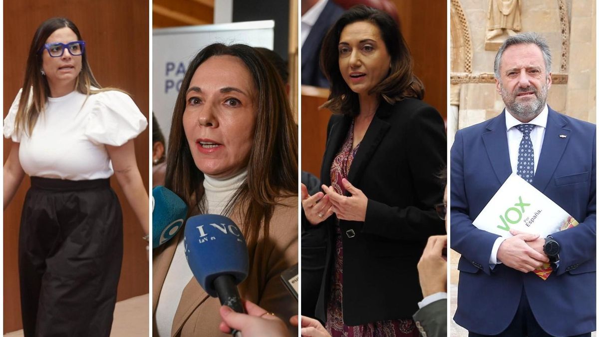 16 candidaturas se presentan por León en las elecciones autonómicas del 15 de marzo, cinco más que hace cuatro años