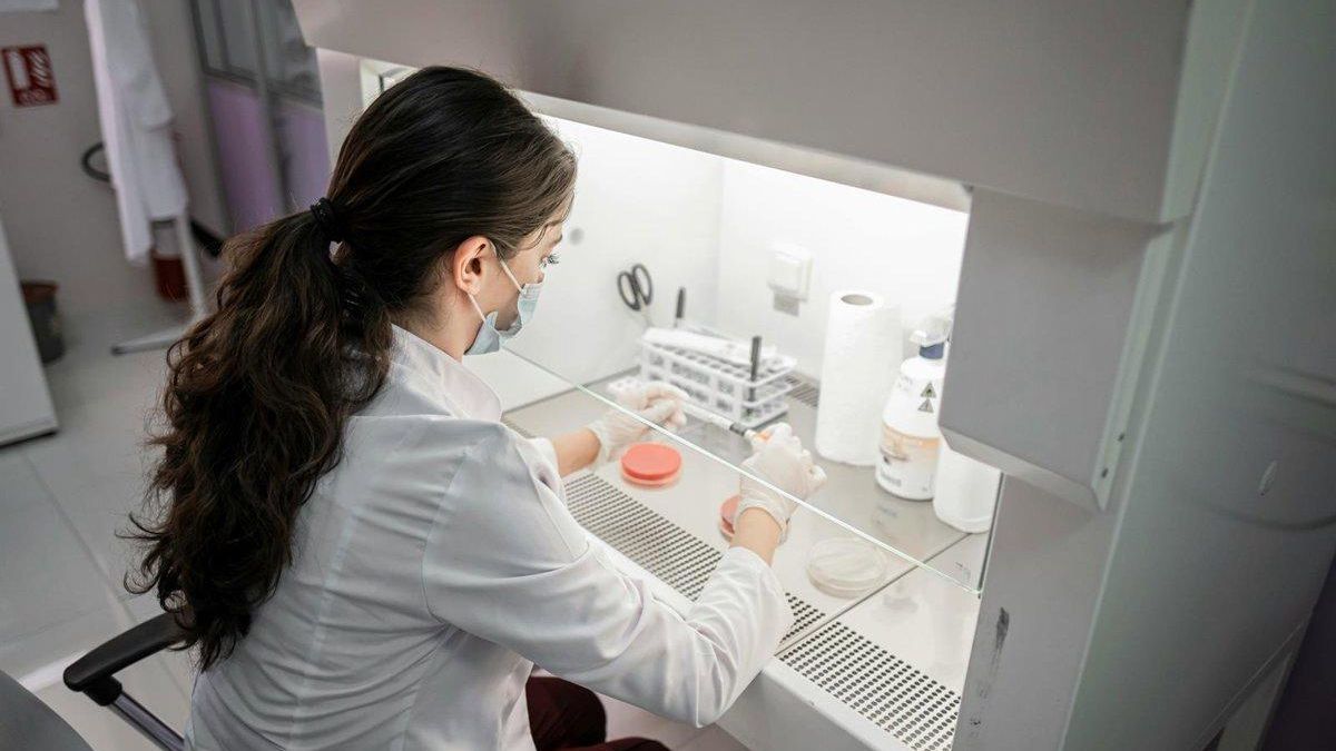 Los investigadores biomédicos de Andalucía llevan a la Junta ante los tribunales por sus salarios "mileuristas"