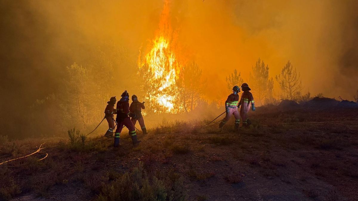 León y Zamora se convierten en escenario de debate y acción por el clima durante noviembre